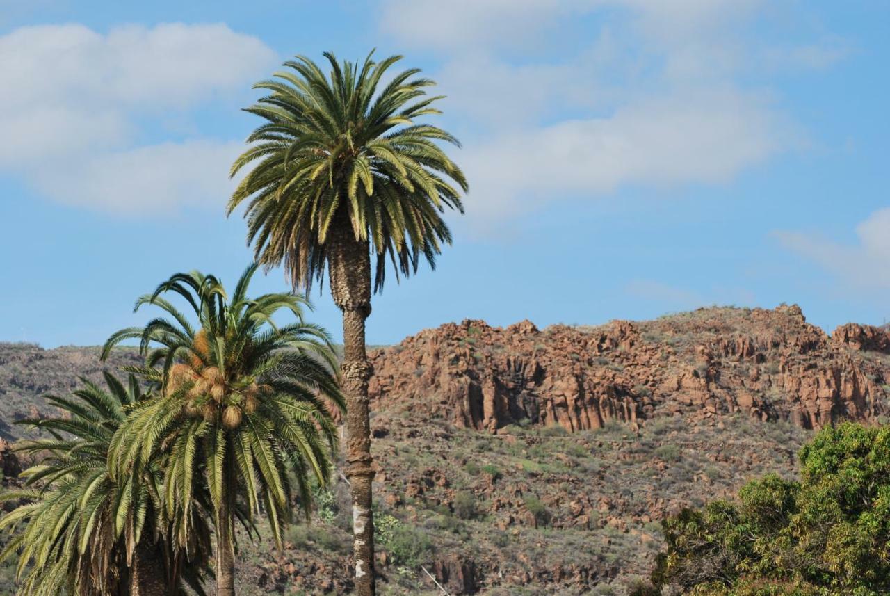 Los Frailes I San Sebastián de la Gomera Exterior foto